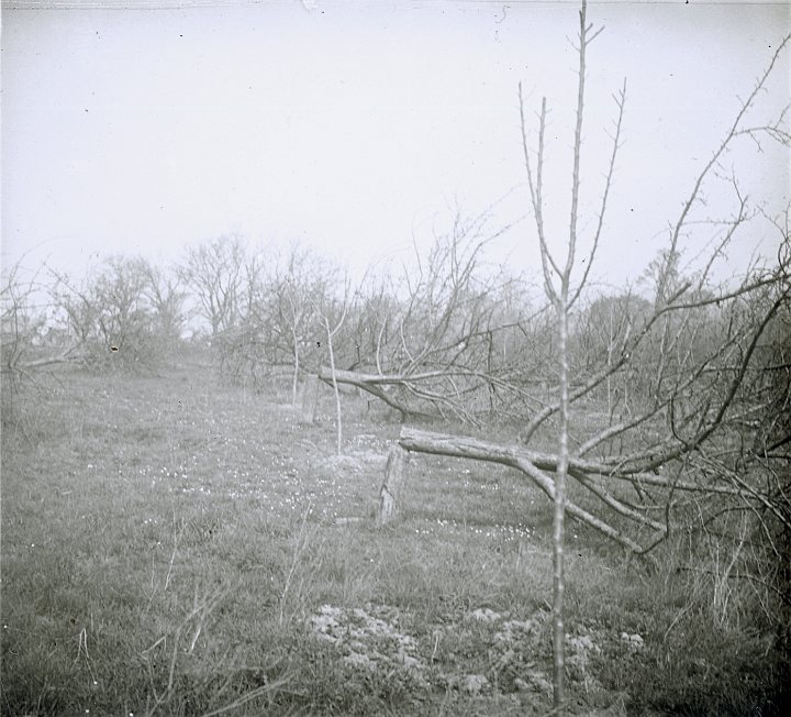 Box 01 Image 13.jpg